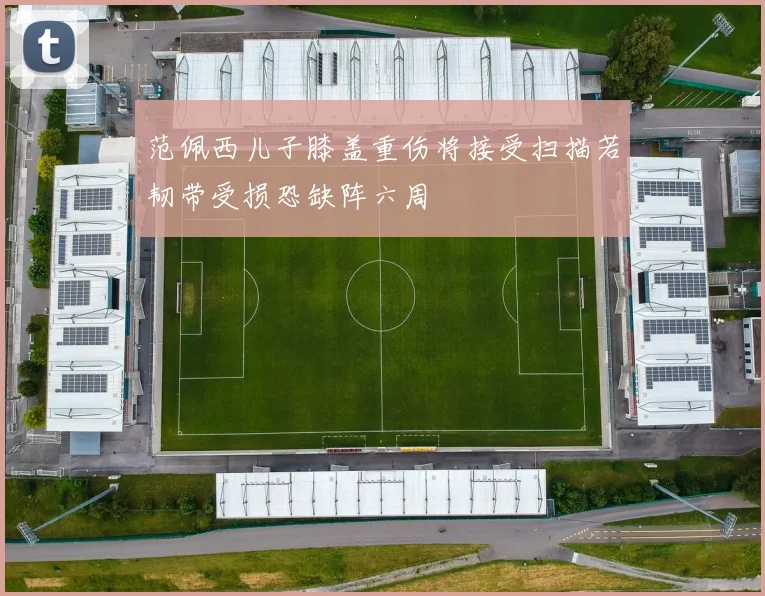 范佩西儿子膝盖重伤将接受扫描若韧带受损恐缺阵六周